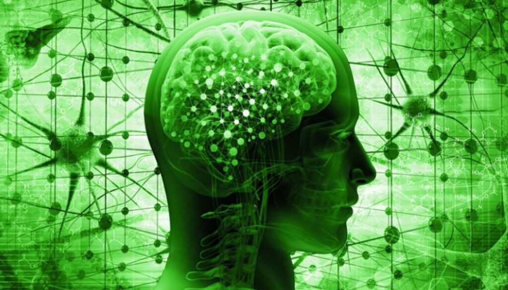 dmt stroke tmu