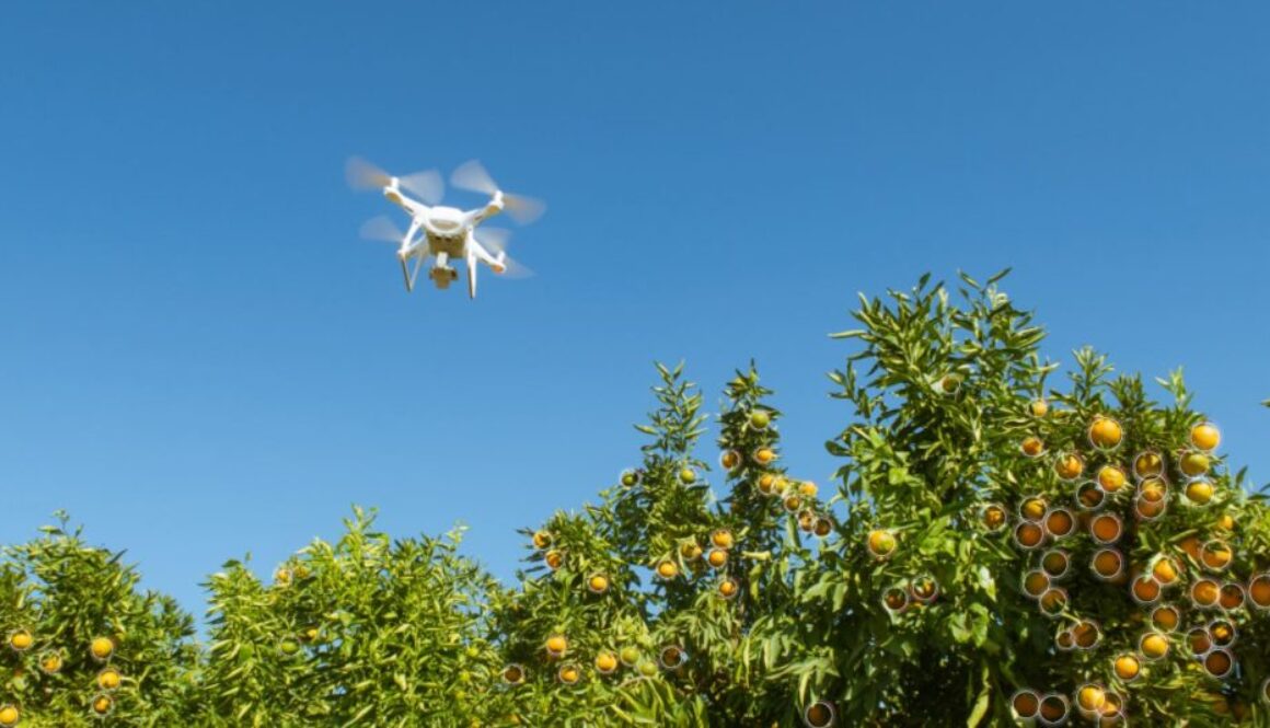 drone farming amazon