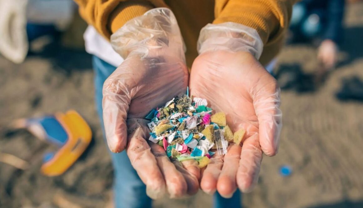 microplastic pol tt