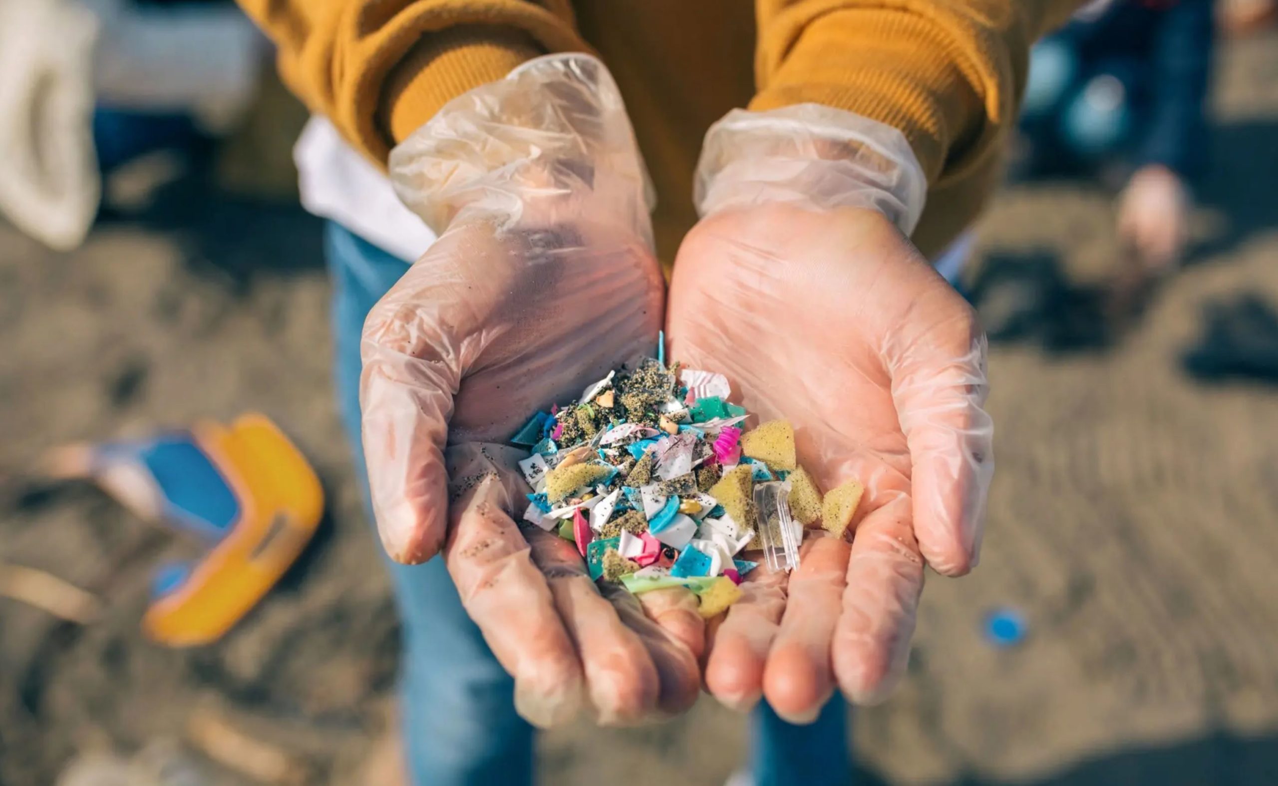 microplastic pol tt