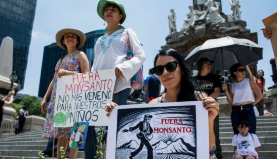 monsanto protest