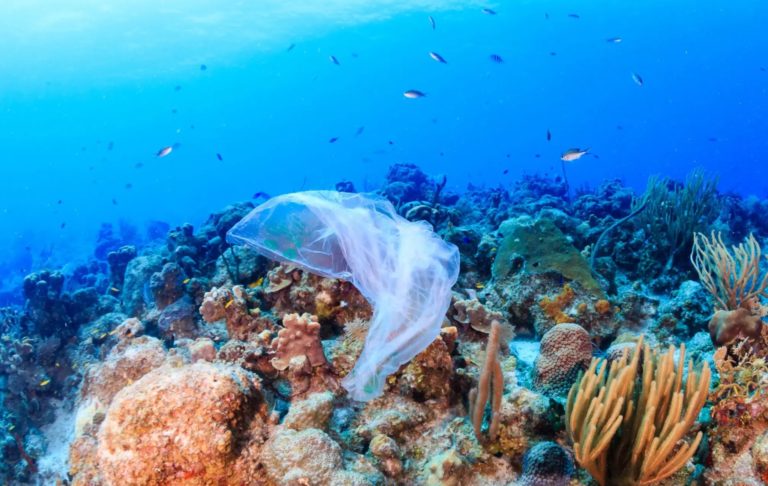 ocean-floor-littering-has-caused-unprecedented-growth-in-marine-waste-dump