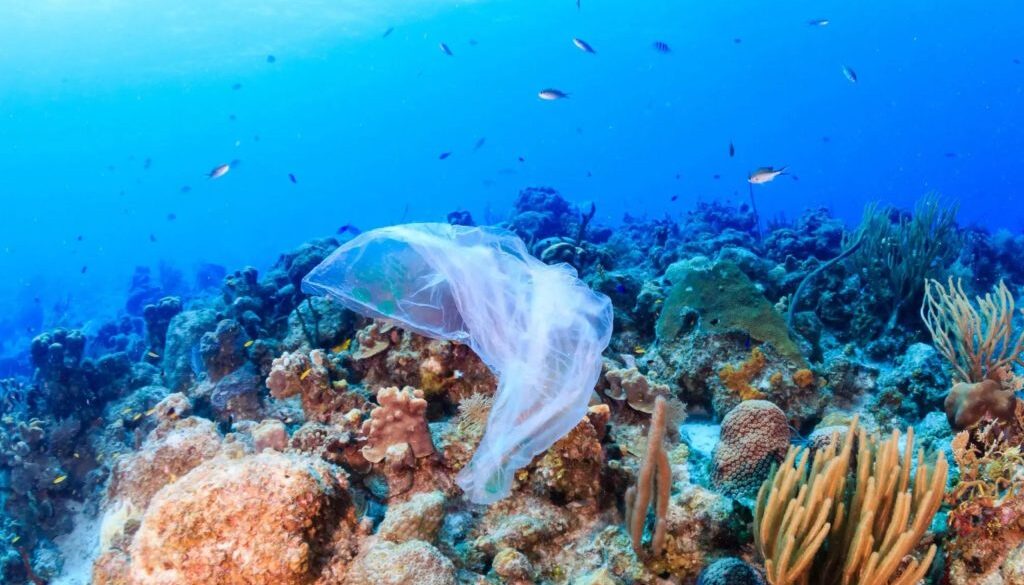 ocean waste