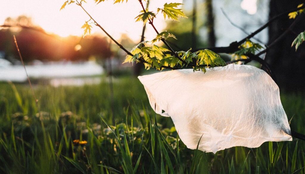 bioplastic freestocks org pexels