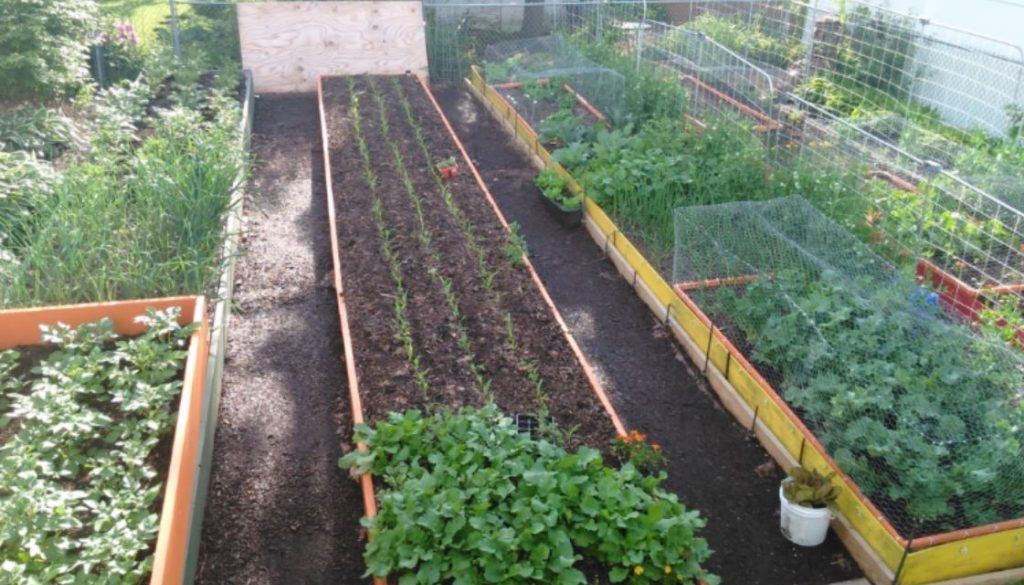 illinois garden