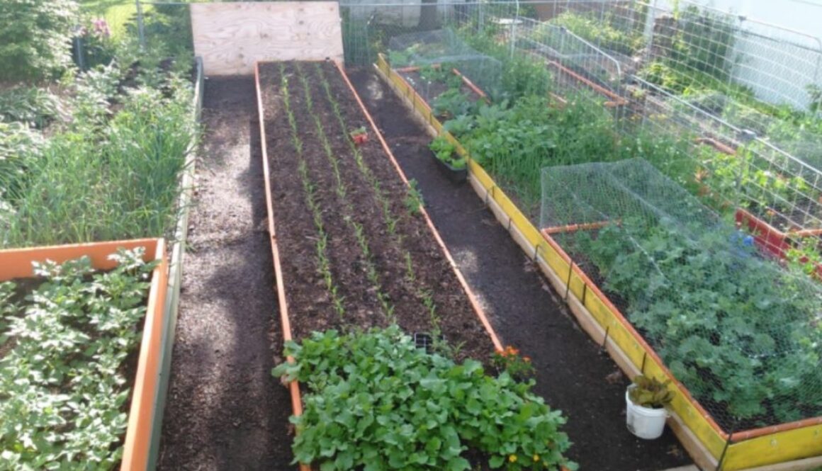 illinois garden