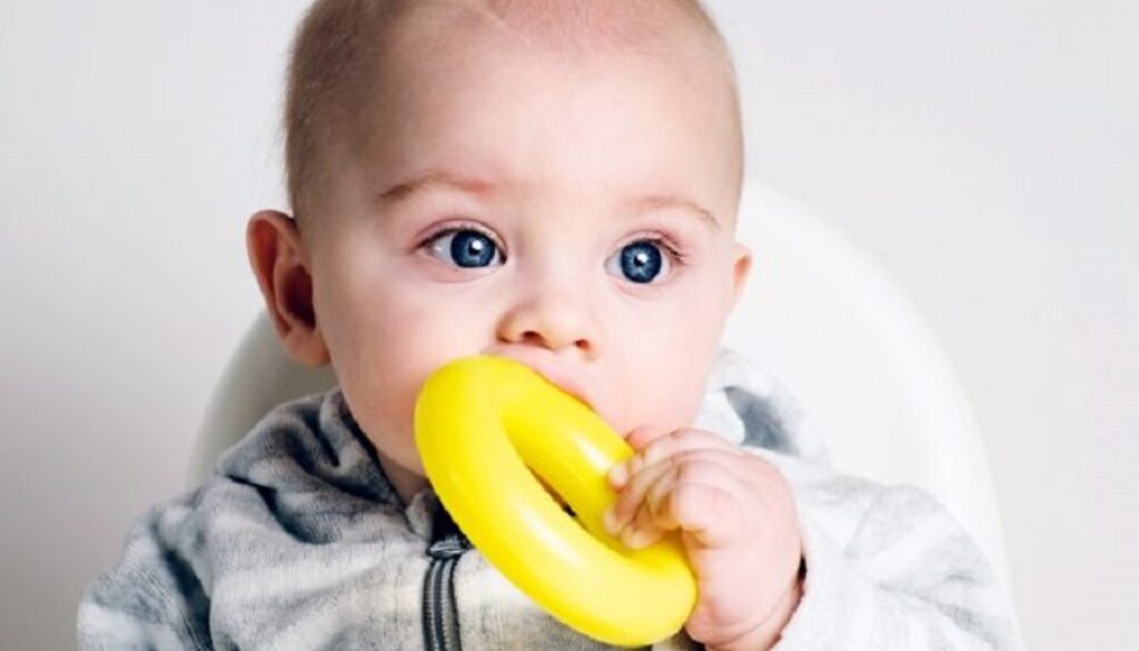 ortho-phthalates-babies-brains-feature-800x417-1