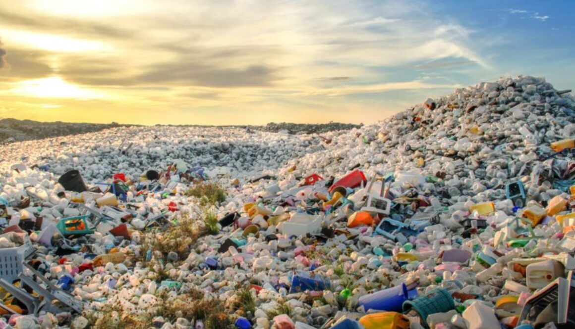 plastic pollution conversation