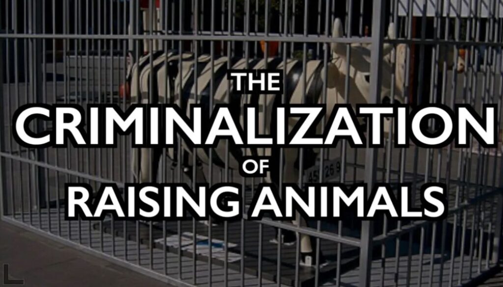 raising animals iaf