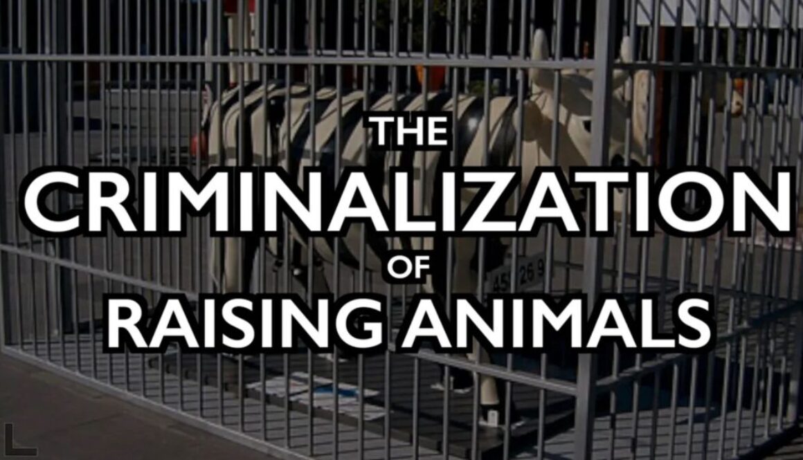 raising animals iaf