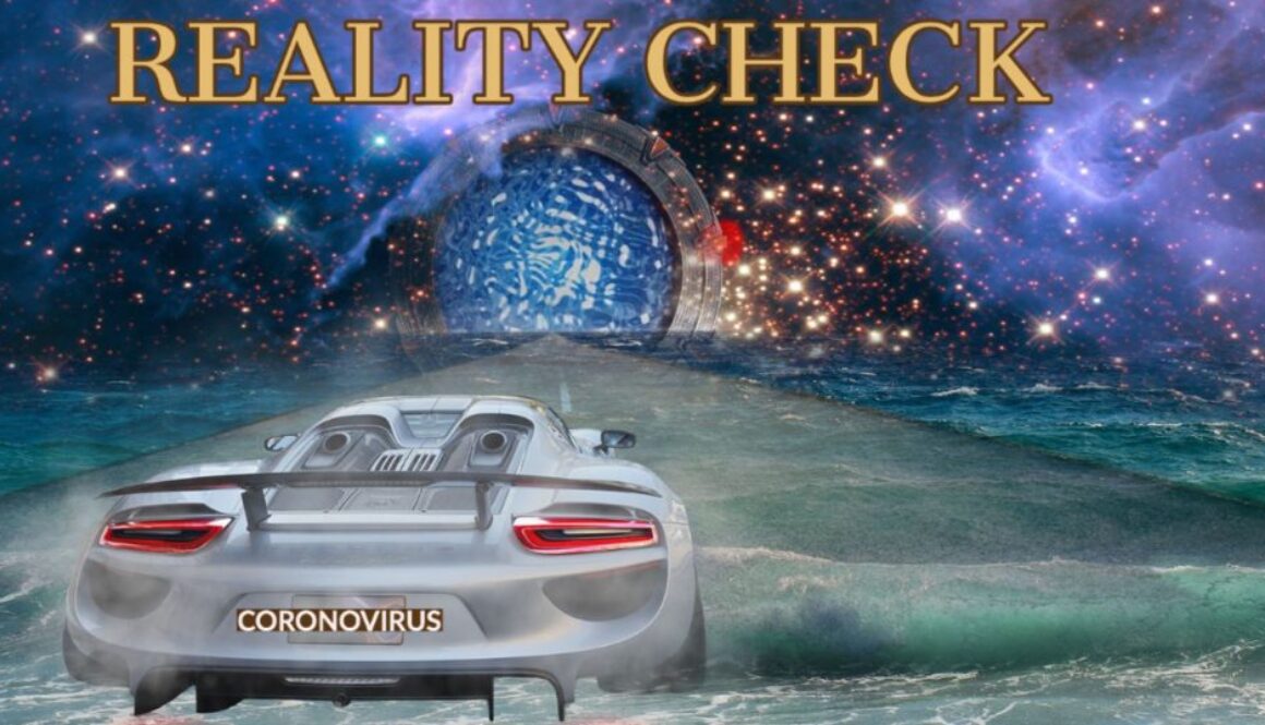 reality check cv