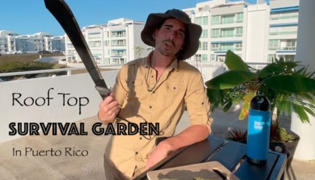 roof top garden db