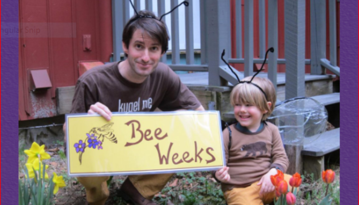 bee 1