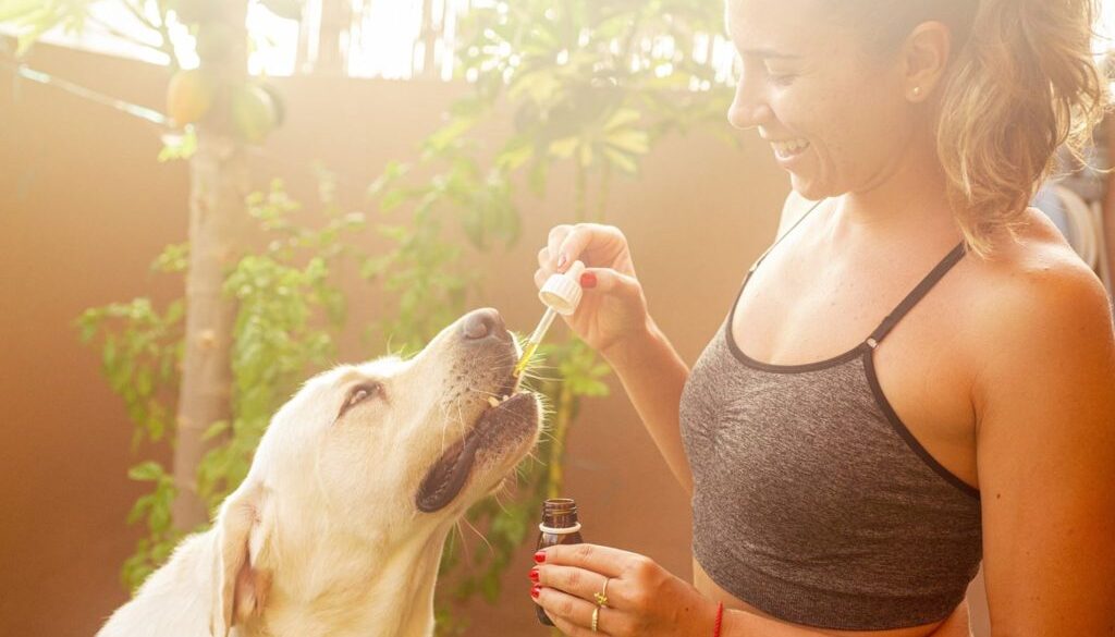 cannabis pets pix