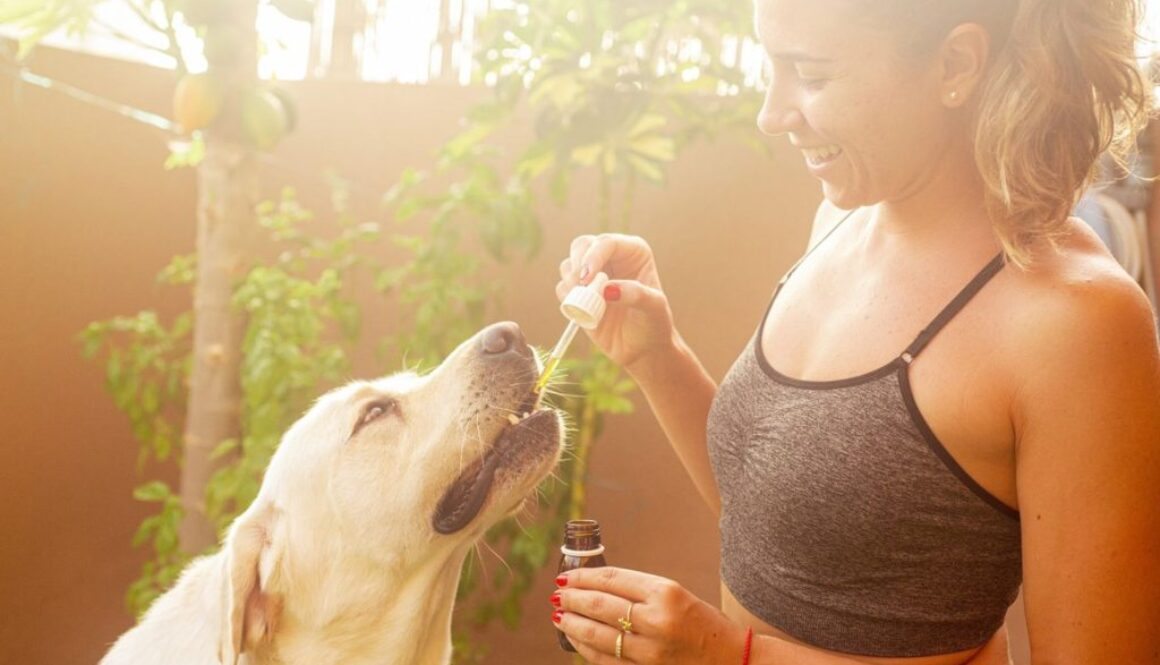 cannabis pets pix