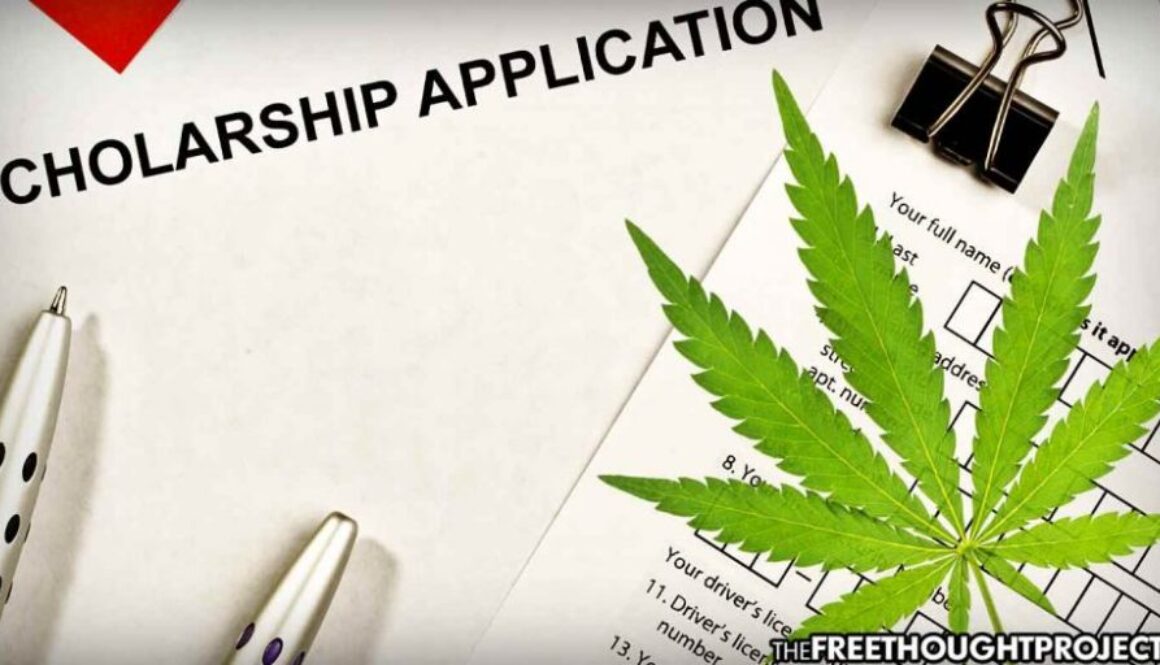 cannabis-scholarship-1050x525