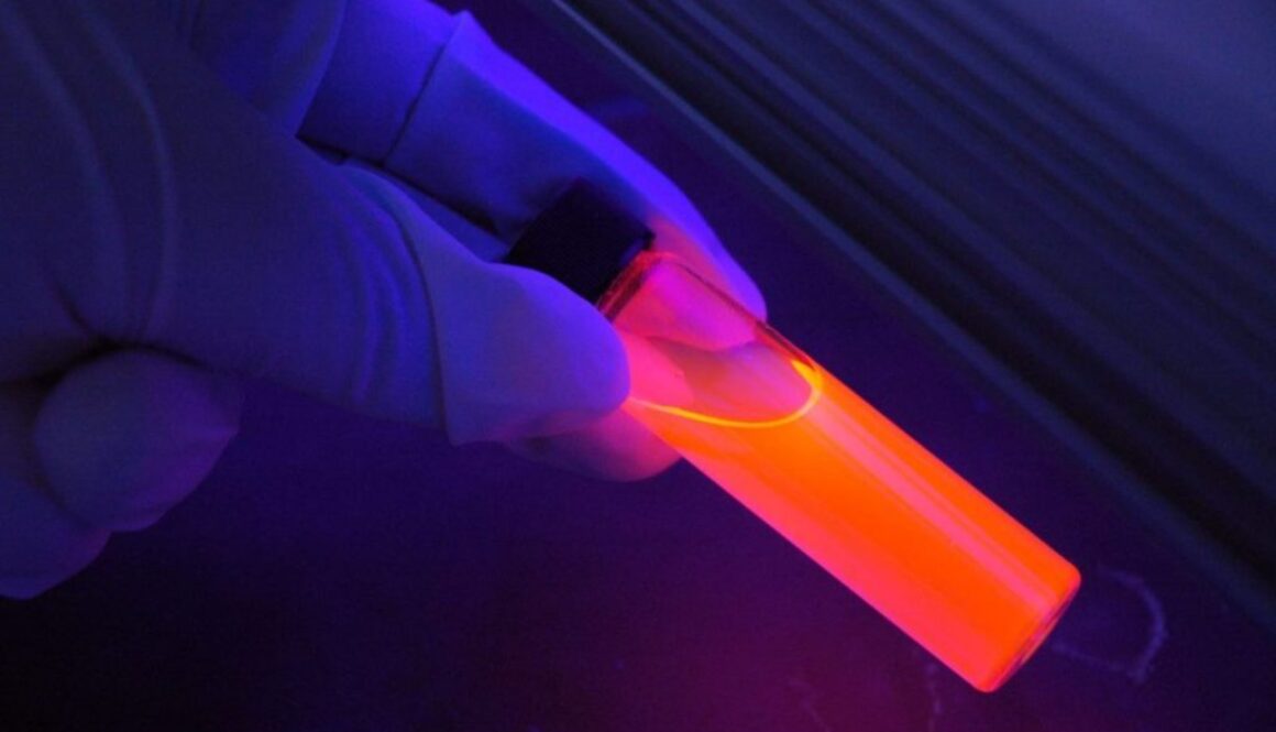 covid experiment noh