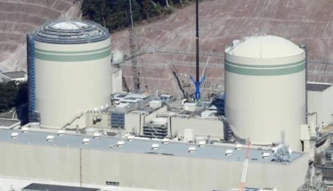 japan nuclear zh