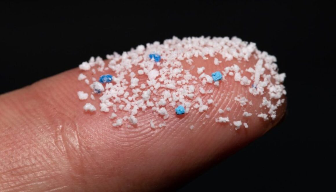microplastic pollution