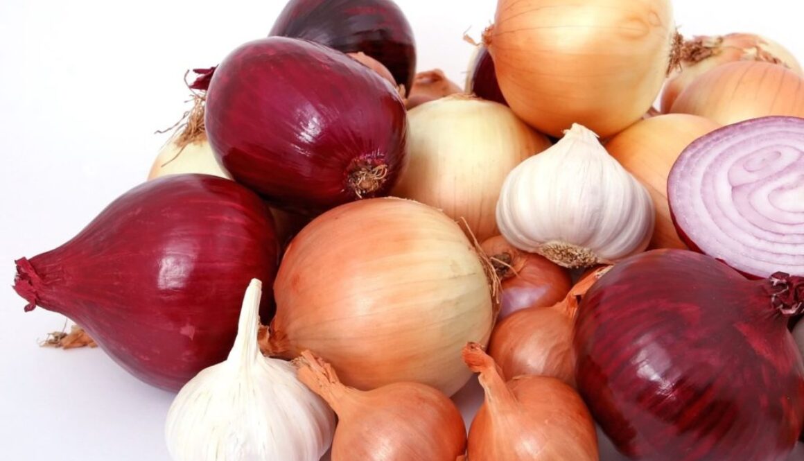 onions pix