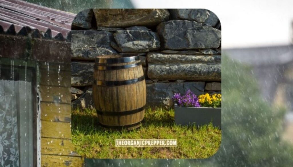 rainwater collection