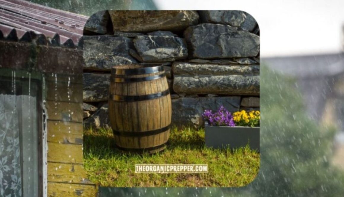 rainwater collection