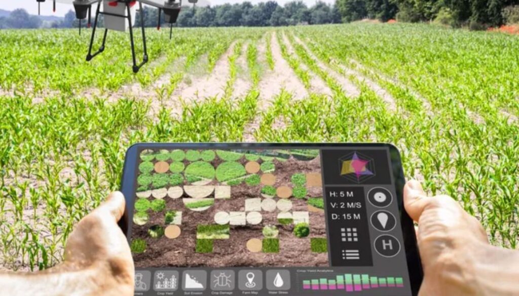 robot agriculture