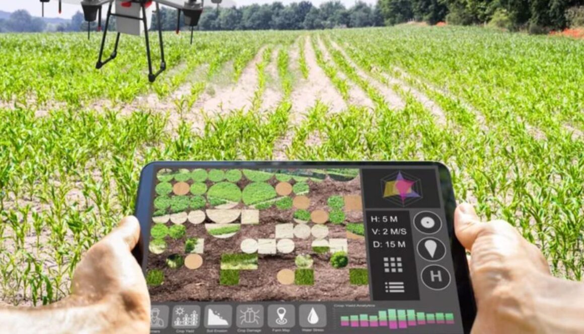 robot agriculture