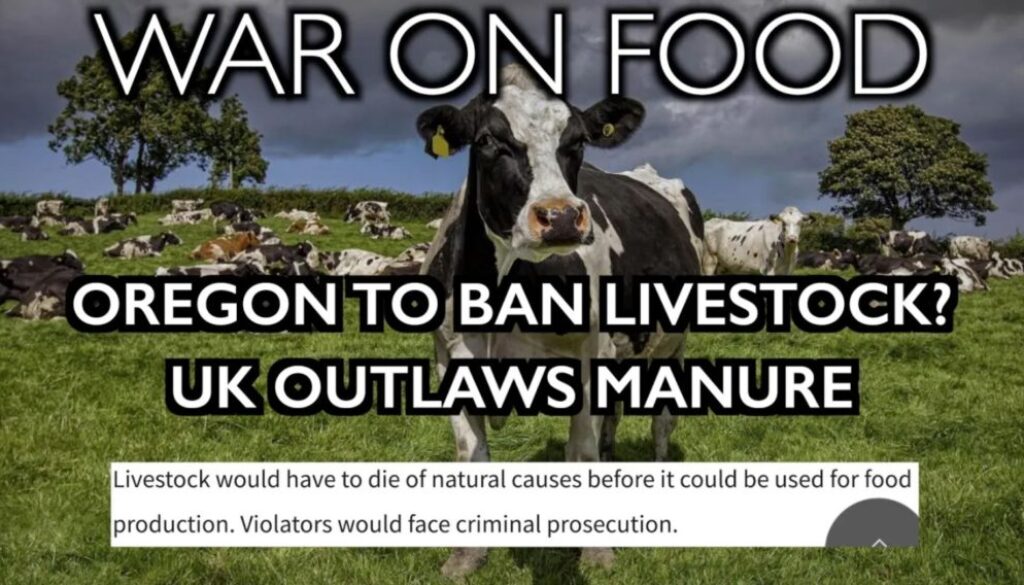 war on food