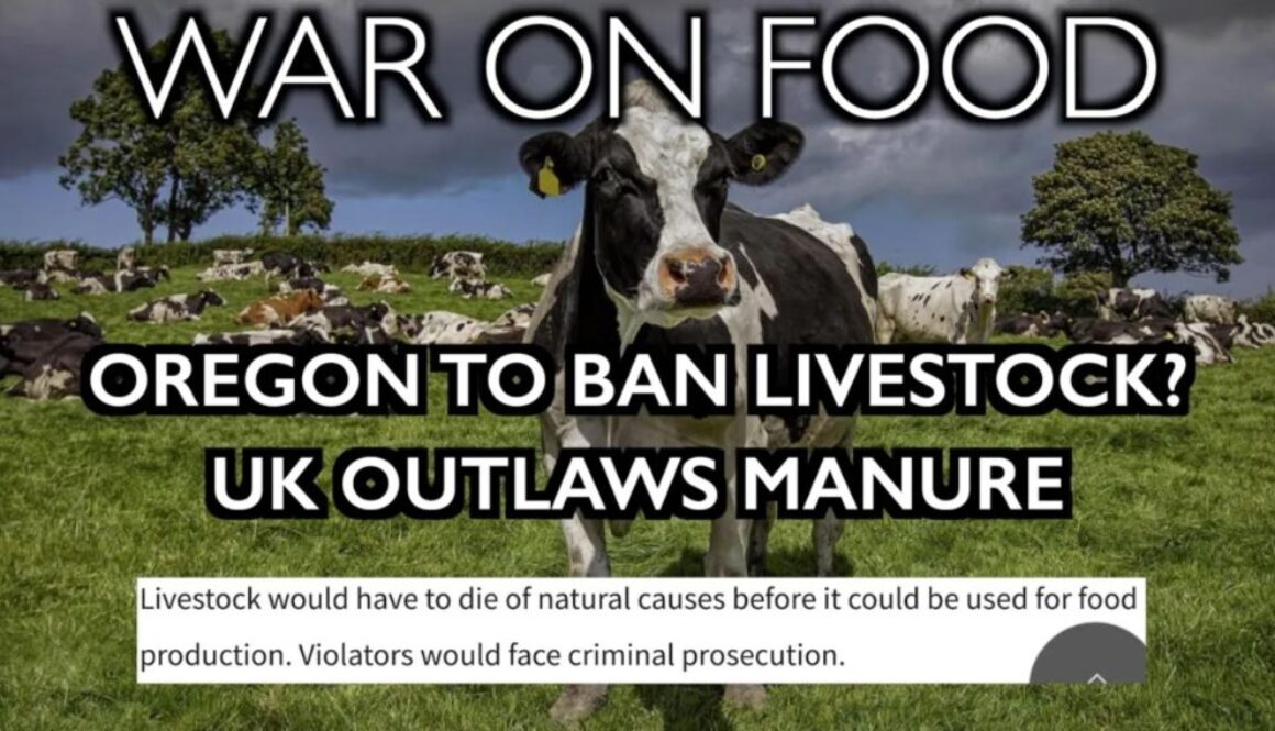 war on food