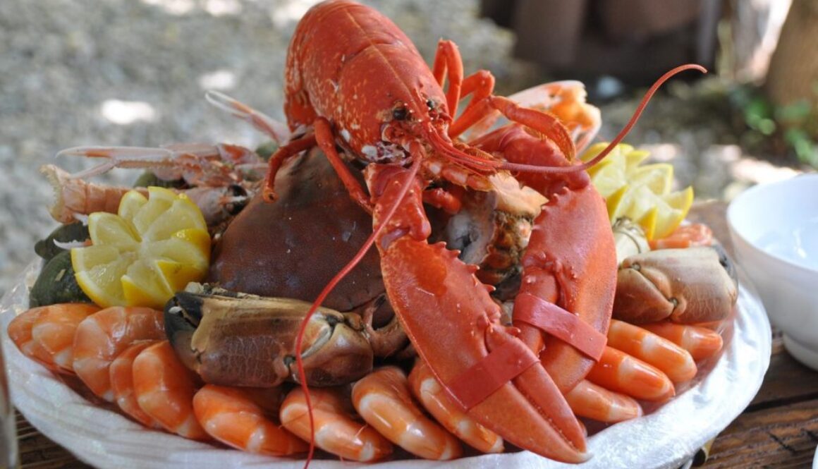 lobster pix