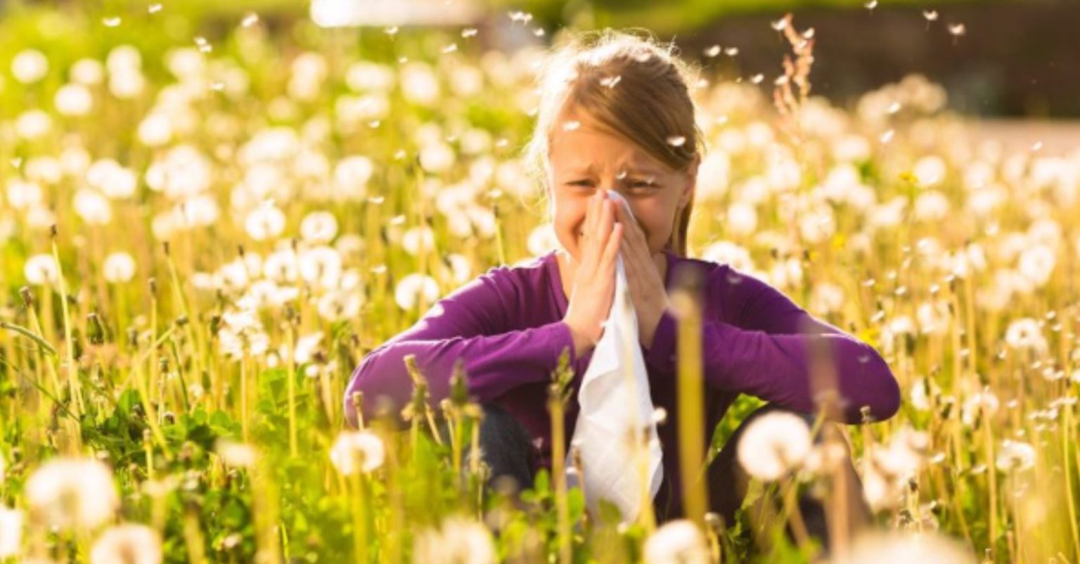 What Are Seasonal Allergies Called