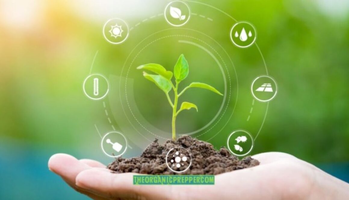sustainable agriculture