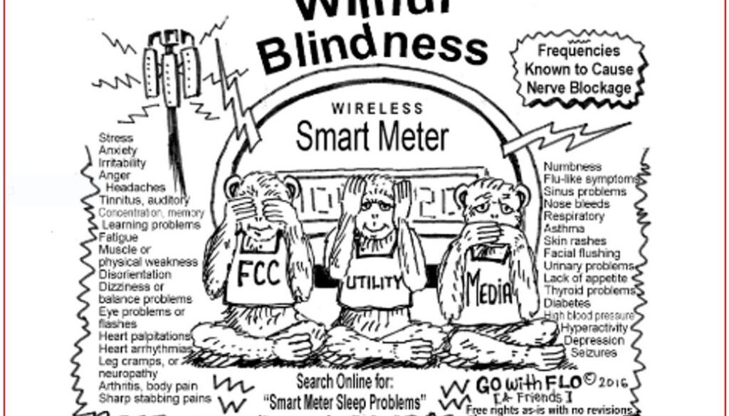 blind flo