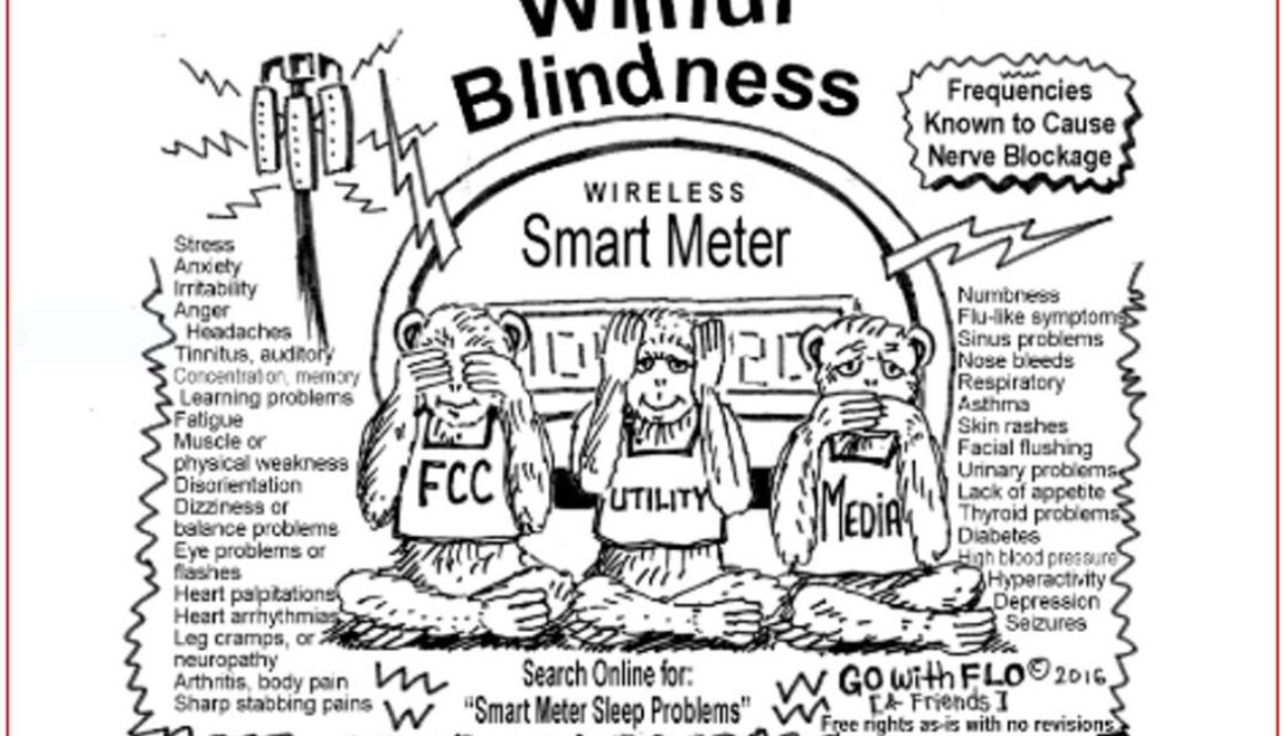 blind flo