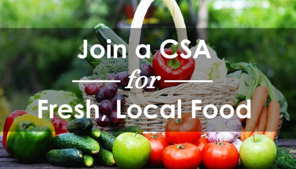 csa 1