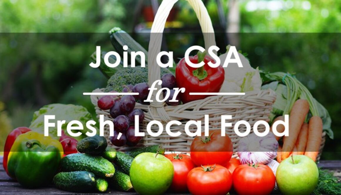 csa 1