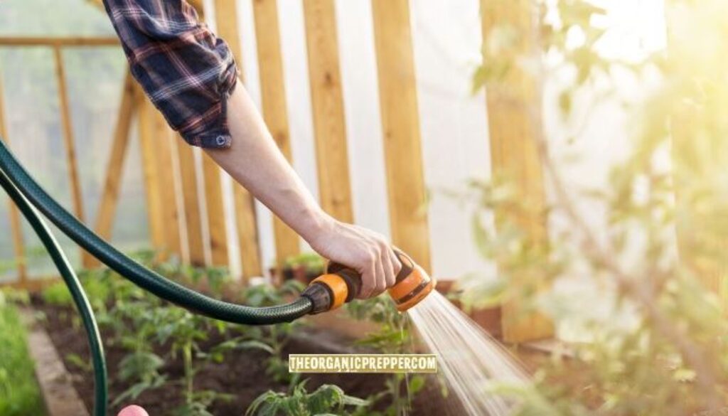 garden drought op