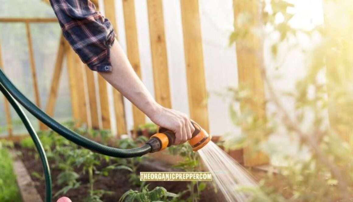 garden drought op