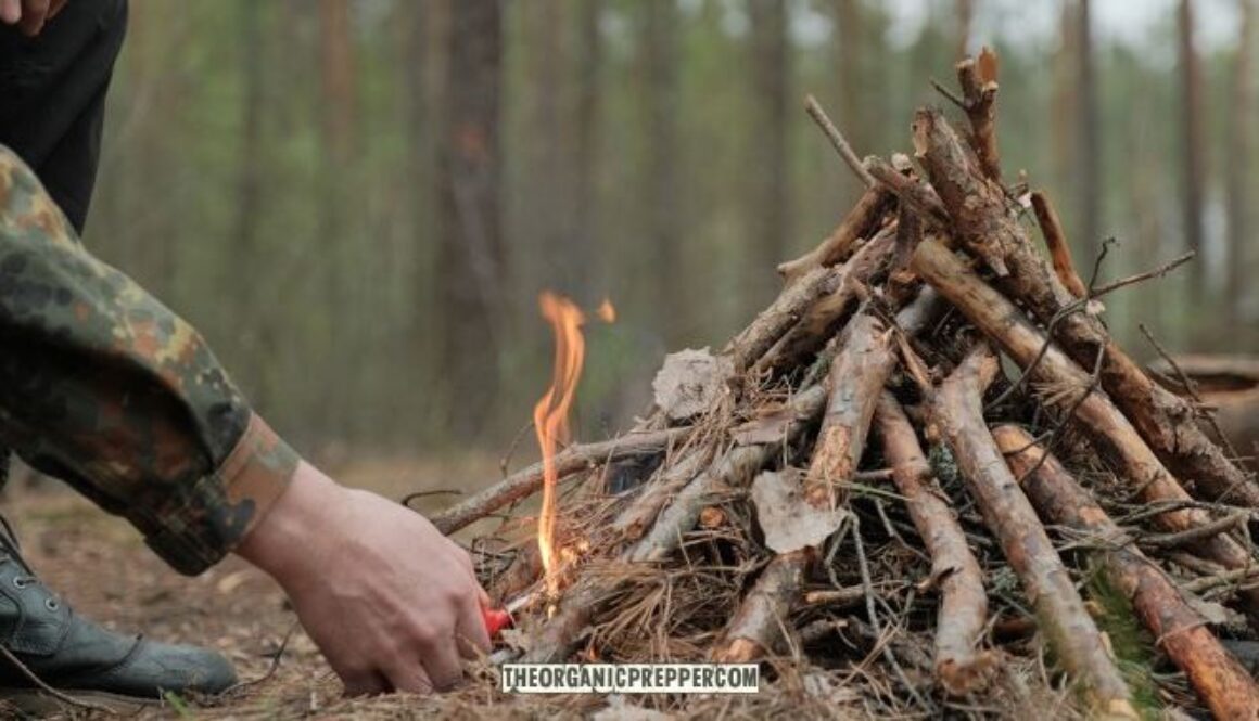 op survival skills