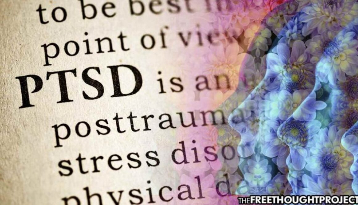 ptsd-vets-1050x525