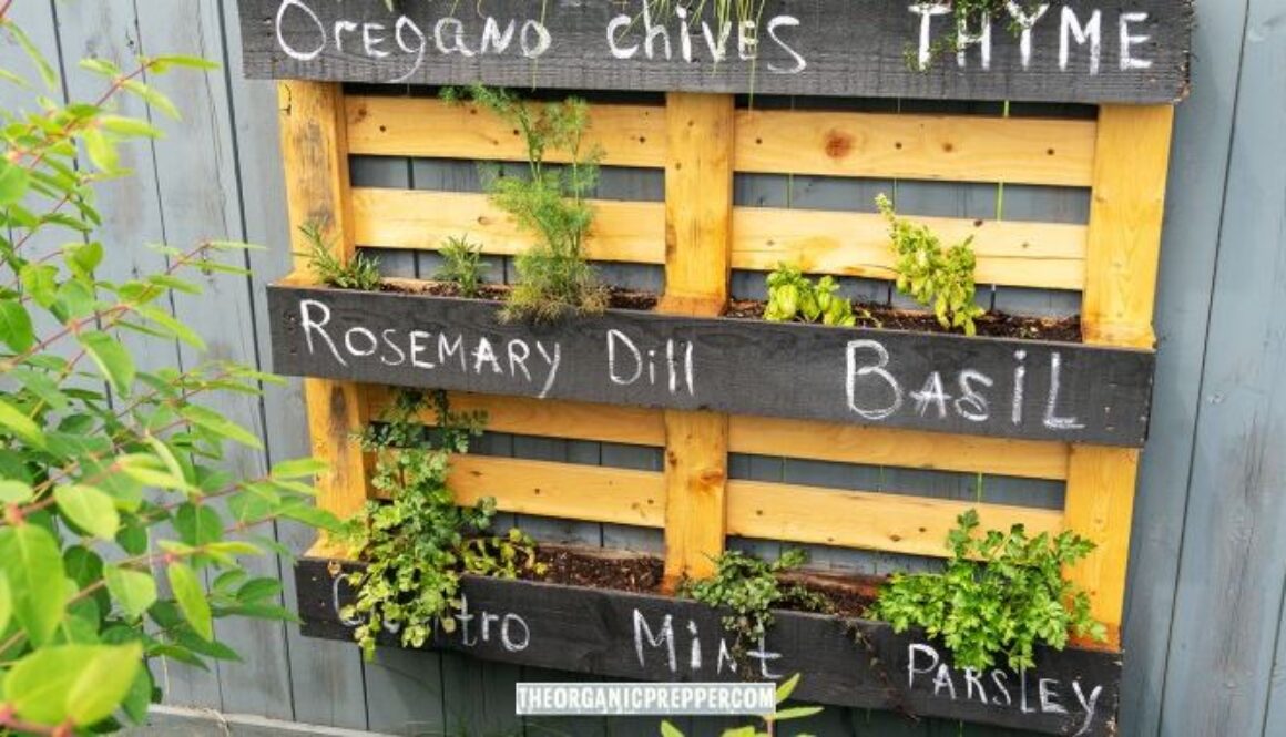 small space gardening op