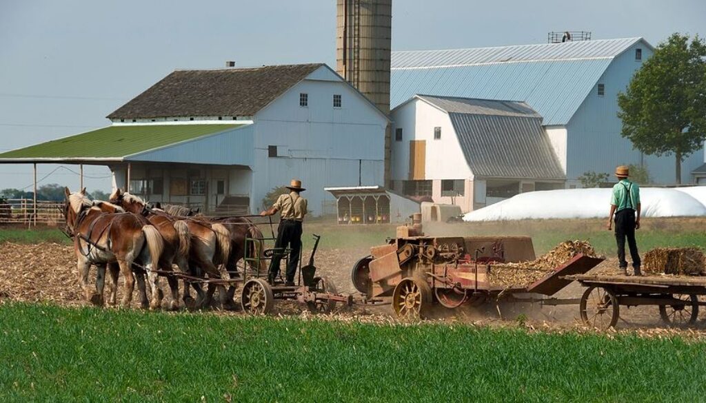 amish food control