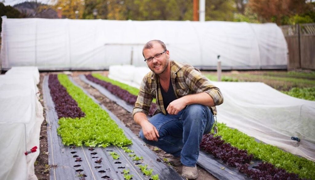curtis stone