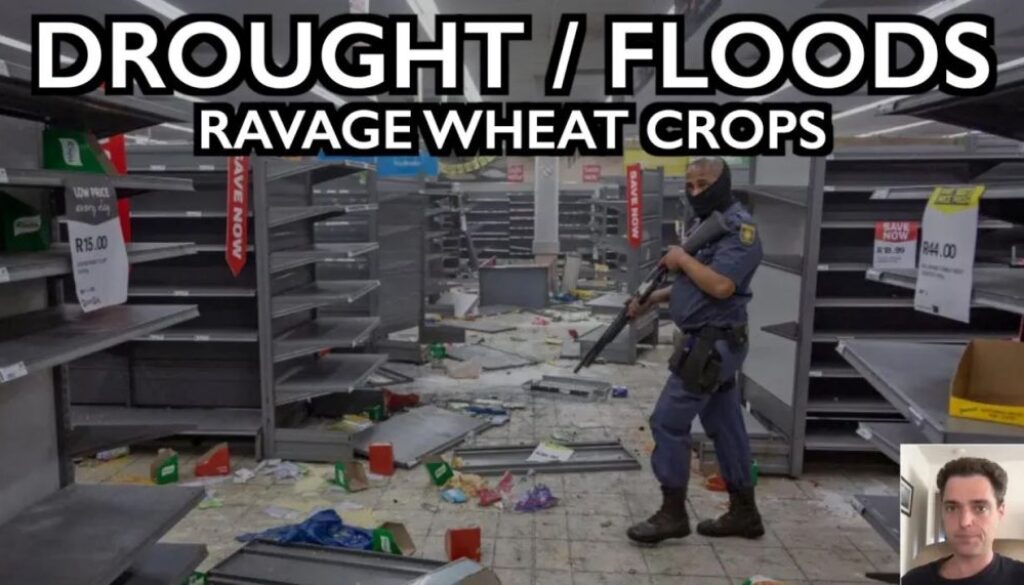 drought wheat