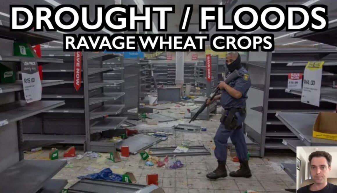 drought wheat