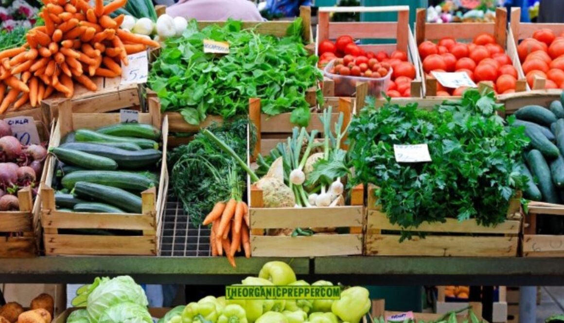 farmer market op