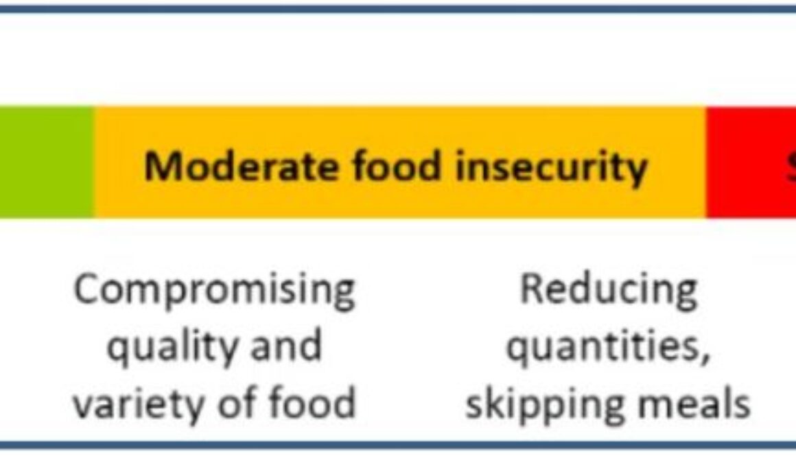 food insecurity