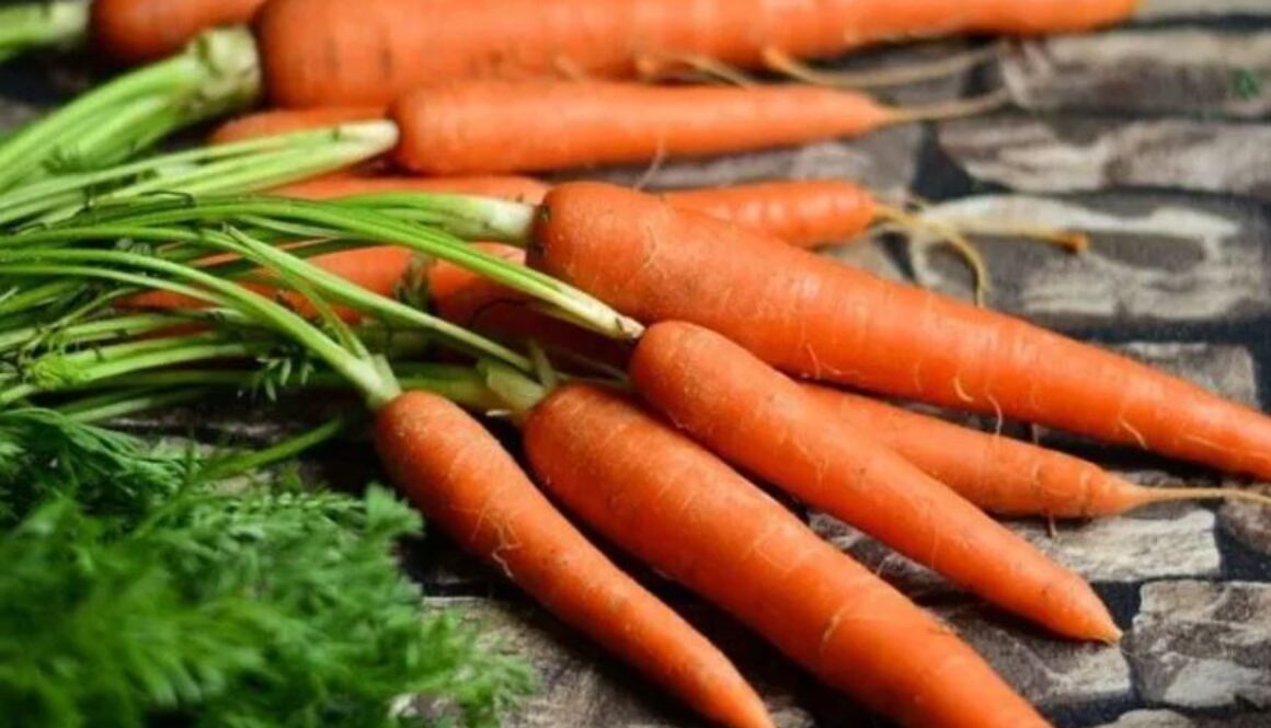 grow carrots ev
