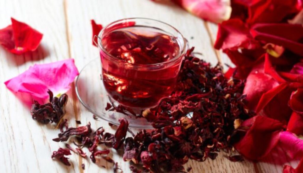 hibiscus gmi